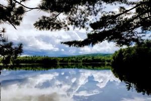 Příroda nedaleko prázdninového domu