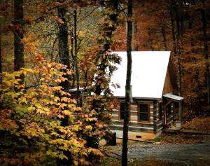 eine kleine Hütte mit weißem Dach im Wald in der Unterkunft Beautiful Waterfront Cabin with Hot Tub near Winston-Salem, North Carolina in Elkin