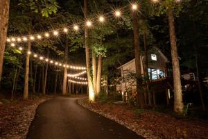 a road with lights in the woods at night at Off-grid Tree House Suitable for Four in Alabama in Grant