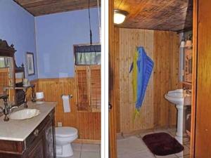 ein Badezimmer mit Waschbecken und Toilette mit einem Drachen an der Wand in der Unterkunft Rustic Waterfront Cottage Rental on the Guadalupe River in Texas in Schumannsville