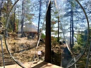 Una exhibición de esferas en un bosque con un árbol. en Luxury Dome with Ski-In/Ski-Out Access in Pori for a Holiday in Finland, en Pori