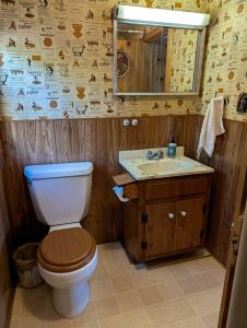 une salle de bains avec toilettes et lavabo dans l'établissement Quaint Lakeside Cabin for a Peaceful Family Getaway Surrounded by Nature by Province Lake in New Hampshire, à Ossipee