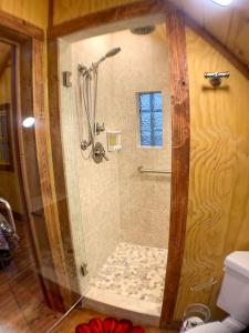 a shower with a glass door in a bathroom at Magical Tree House Experience with a Private Hot Tub in Shenandoah Valley, Virginia in Grove Hill