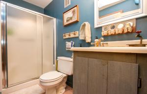 Stratton MountainにあるBed and Breakfast Nature Lodge with a Yoga Studio on Stratton Mountain, Vermontのトイレ、シャワー、洗面台を備えたバスルーム