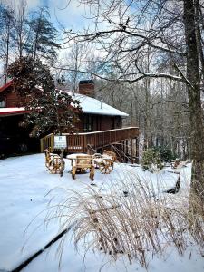 a yard covered in snow with a wooden house at Awesome Comfy Cabin with Jacuzzi, Game Room and Screened Porch in Georgia in Helen