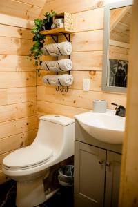ein Badezimmer mit Toilette und Waschbecken in der Unterkunft Rustic Wooden Cabin with Hot-tub in Campbellsville, Kentucky in Campbellsville + 54 Fotos