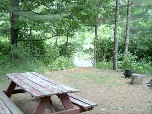 una mesa de picnic de madera en un parque con un gato negro en Lovely Cottage Getaway in the Mountains near Phoenicia, New York, en Chichester 4 fotos más