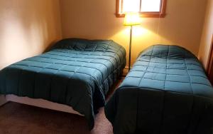 a bedroom with two beds and a lamp at Rustic Cabin with a Picnic Table and Barbecue on Somo Lake, Wisconsin in Tomahawk