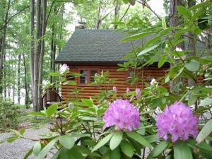 Zahrada ubytování Idyllic Waterfront Log Cabin in Wayne County Overlooking Lake Wallenpaupack, Pennsylvania + 8 fotografií