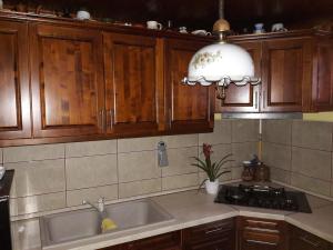 a kitchen with wooden cabinets and a sink at Tiszavirág Vendégház in Abádszalók +61 photos