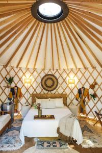 Χώρος καθιστικού στο The Macaw Yurt in Lakeway, TX