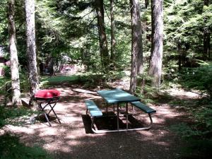 un tavolo da picnic e una griglia nel bosco di Cozy Cottage Rental with Lovely Beach Views on Halfmoon Lake, New Hampshire a New Durham