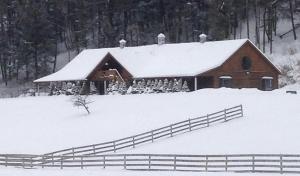 Fantastic Secluded Rental for a Large Group Getaway near East Branch, New York v zimě