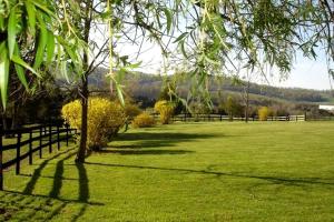 a field of grass with a fence and a tree at 1856 Manor Vacation Rental on Huge Horse and Cattle Farm near Charlottesville, Virginia in Gordonsville