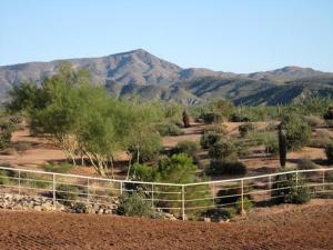 a fence in a field with mountains in the background at Western-Style Bunkhouse with Scenic, Desert Trails near Scottsdale, Arizona in Tonto Hills Subdivision +13 photos