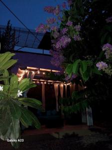 a string of lights hanging from a pergola at Nani s House - Warmth & Comfort in Dehradun +7 photos