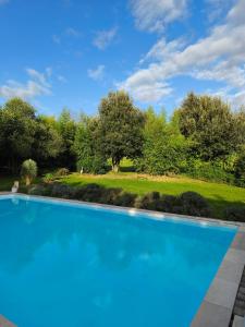 a large blue swimming pool in a yard with trees at Gîte au cœur des Bastides Albigeoises in Le Verdier