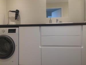 eine Küche mit einer Waschmaschine und einem Waschbecken in der Unterkunft Vienna Apartments Hauptbahnhof in Wien