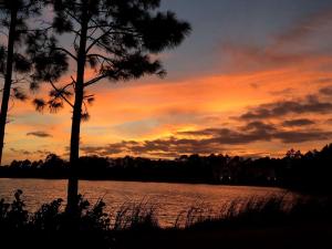 a sunset over a lake with a palm tree at Idyllic Waterfront Rental with Shared Pool Access in Jupiter, Florida in Delta +10 photos