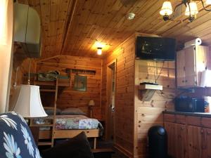 Μια τηλεόραση ή/και κέντρο ψυχαγωγίας στο Galeton, Pennsylvania Glamping Cabin, Ideal for a Family Nature Escape