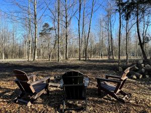 three chairs and a fire pit in a park at Stunning Cabin with Spa Perfect for Outdoor Sports in Carbondale, Illinois in Makanda