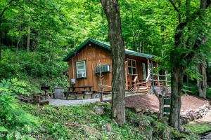 una cabaña de madera en el bosque con árboles en Cabin in the woods w/ WIFI close to Monongahela National Forest, en Riverton