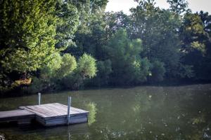 ein Dock in der Mitte eines Sees mit Bäumen in der Unterkunft Gorgeous Secluded Wooden Cabin in Carbondale, Illinois in Etherton