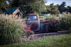 Ein alter Lastwagen parkte in einem Blumengarten. in der Unterkunft Gorgeous Secluded Wooden Cabin in Carbondale, Illinois in Etherton