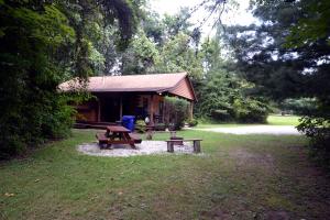 a log cabin with a picnic table and a bench at Secluded Luxury Cabin Getaway for Four Guests in Logan, Ohio in Cedar Grove