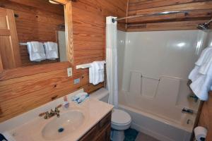 a bathroom with a sink and a shower and a toilet at Secluded Luxury Cabin Getaway for Four Guests in Logan, Ohio in Cedar Grove