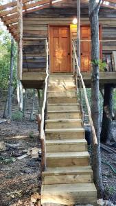 Fotografie z fotogalerie ubytování Secluded Forest Cabin with Clear Roof for Stargazing near Watts Bar Lake – Grandview, TN v destinaci Spring City + 25 fotografií
