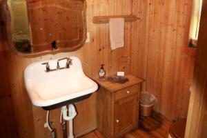 a bathroom with a sink and a mirror at Quiet Mountain Cabin with Barbecue near Steamboat Springs in Colorado in Columbine