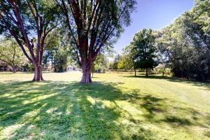 two trees in a grassy field with their shadows at Remodeled Mid-Century Home Near Downtown & Hwy 6 in College Station, Texas in Navasota