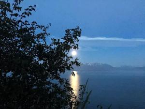 a full moon rising over the water at night at Luxury Camping Tent Overlooking Kachemak Bay in Homer, Alaska in Fritz Creek