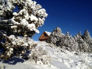 a cabin on a snowy hill with snow covered trees at Spacious, Inviting Log Cabin Encircled by Wildlife in Utah in Long Valley Junction