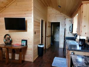 a kitchen with a sink and a tv on a wall at One Bedroom Log Cabin for Family and Pet Friendly Glamping in Pipe Creek, Texas in Pipe Creek
