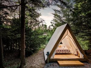 a tent in the woods with a bed in it at Idyllic Safari Tent with Sauna and Amazing Views in North Woodstock, New Hampshire in Woodstock