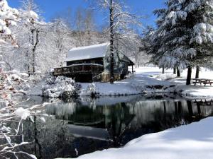 une cabane en rondins dans la neige à côté d'un étang dans l'établissement Secluded Rental Cabin with Hot Tub near Deep Creek Lake in West Virginia, à Cranesville