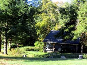 une maison au milieu d'un champ avec des arbres dans l'établissement Secluded Rental Cabin with Hot Tub near Deep Creek Lake in West Virginia, à Cranesville