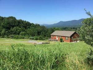 Příroda nedaleko prázdninového domu + 20 fotografií