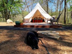 a black dog laying in front of a tent at Fern Dell - Air Conditioned in Hot Springs National Park, Arkansas in Hot Springs