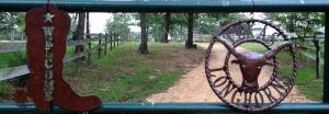 a wheel hanging on a fence with a goat at Simple and Cozy Cabin Rental on Private Ranch Retreat near Austin, Texas in Waelder