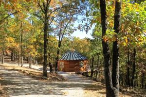 a small cabin in the middle of a forest at Stunning Eureka Springs Accommodation Perfect for Glamping in Arkansas in Eureka Springs