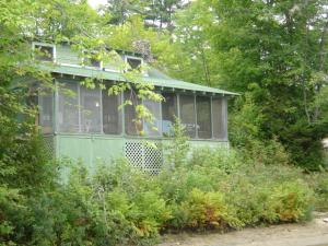 une maison verte au milieu d'une forêt dans l'établissement Charming Cabin Rental on Lake Paradox for Group Getaway in Adirondacks, New York, à Severance