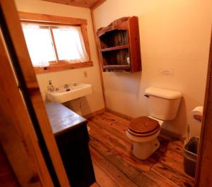 a small bathroom with a toilet and a sink at Secluded Cabin Rental with Mountain Views in Clark, Northern Colorado in Columbine +1 photo