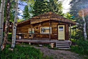 a log cabin in the woods with a yellow door at Secluded Cabin Rental with Mountain Views in Clark, Northern Colorado in Columbine