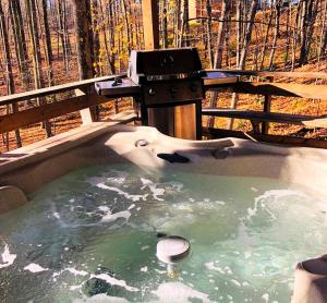 a bath tub with a dolphin in the water at Rustic Cabin Rental in the Wilderness near Beckley, West Virginia in Hico