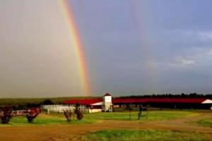a rainbow over a field with horses and a barn at Pet-Friendly Rental with Wi-Fi near Brenham, Texas in McDade