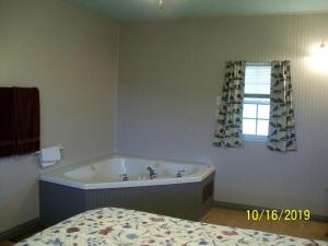 Koupelna v ubytování Cozy One-Bedroom Cabin Rental in Blue Ridge Mountains of Virginia