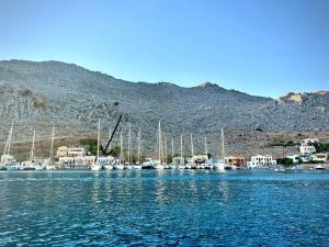 a bunch of boats are docked in a harbor at Seaside House in Symi